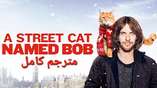 A street cat named bob- مترجم😻