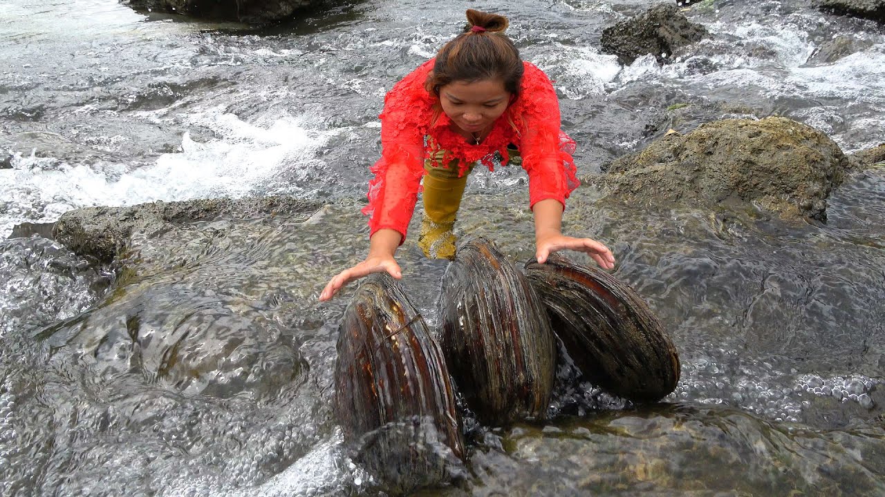 The stream startled a group of clams, the girl opened them, and pearls