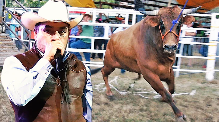 NO LE GUSTO LA MONTA A Federico Figueroa !! Rancho...