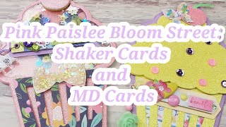 Pink Paislee Bloom Street: Shaker Cards and Memorydex