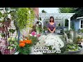 म र आगनम ज ल ईम फ ल क फ लहर र फल क फ र टहर July Garden Tour UK Nepali Gardenning Tour म र आगनम ज ल ईम फ ल क फ लहर र फल क फ र टहर July Garden Tour UK Nepali Gardenning Tour