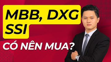 Cổ phiếu MBB, DXG, SSI - Có nên mua gom lúc này? HƯỞNG LỢI nhờ vào CHU KỲ TÀI SẢN