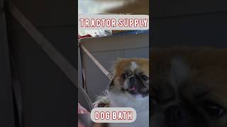 Tractor Supply Dog Bath
