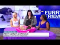 Furry Friends Friday - Garnet and Emerald
