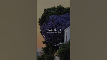 ﴿هُنَالِكَ ٱبۡتُلِیَ ٱلۡمُؤۡمِنُونَ﴾ | القارئ محمد صديق المنشاوي #قرآن #اكسبلور #المصحف.