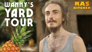 Scottish Rasta Wanny's Yard Tour! Mokko's Neighbour in Jamaica