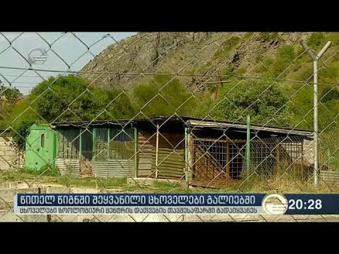 წითელ წიგნში შეყვანილი ცხოველები გალიებში