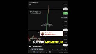 ZEREBRO Rally Mode Activated | Can Bulls Push Higher? #altcoins #trading #crypto