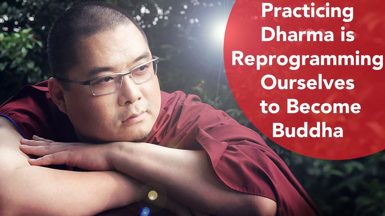 Practising Dharma Is Reprogramming Ourselves to Become Buddha