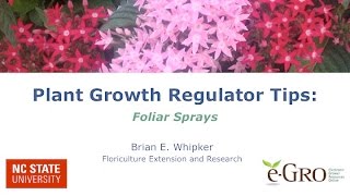 Tips on Applying PGR Foliar Sprays