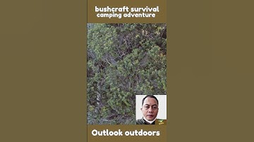 Hammocks suspended from tropical trees #adventure #survival #camping #outdoors #bushcraft