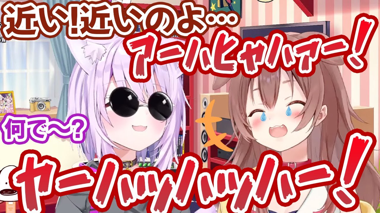 オフコラボの初っ端から猫又おかゆのボケにヤバい笑い声でツボる戌神ころね【ホロライブ切り抜き】