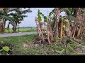 VLOG DAILY2 IPEMANDANGAN SORE