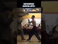 Vietnamese martial arts 114