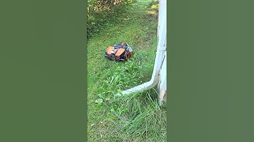 August 30, 2024- Landroid Vision A.I - WR210 1/4 Acre