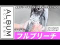 【基礎技術】これでもう怖くない!!全頭ブリーチ完全ガイド!【ALBUM アカデミー】
