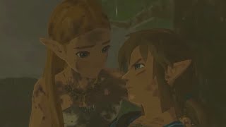 Breath of the Wild | Zelink scenes pt. 2