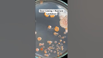 Over-Limed Soils = Micronutrient Deficiency #lime #soil #agriculture #garden #farming