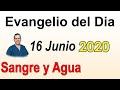 Evangelio Del Dia de Hoy - Martes 16 Junio 2020- Sangre y Agua