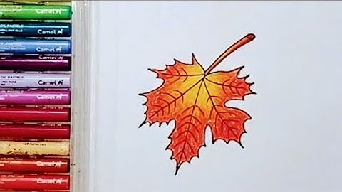 How to draw a maple leaf step by step/easy maple leaf drawing for kids and toddlers #art #drawing