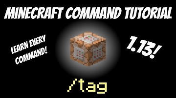 How to use the /tag command in Minecraft 1.13 | Tutorial | Aquatic Update | Using Tags