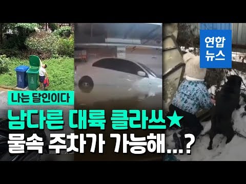 각양각색 대륙의 달인들…&amp;#39;쓰레기 던지기부터 물속 주차까지&amp;#39; / 연합뉴스 (Yonhapnews)