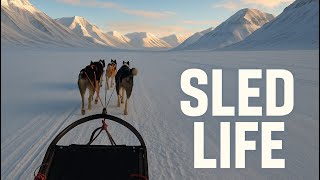 What It’s Like Dog Sledding in Svalbard 🐾❄️