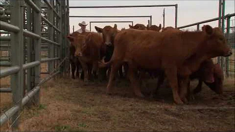 Setting Up Your Handling Facility