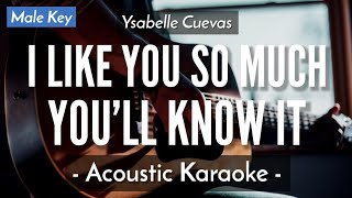 I Like You So Much You'll Know It [Karaoke Acoustic] - Ysabelle Cuevas [Male Key | HQ Audio]