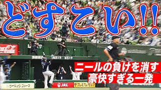 山川穂高 ニールの負けを消した『豪快どすこい！』