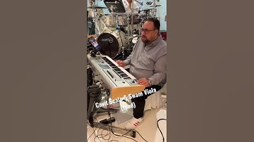 EnNis Doctor - Swam Viola & Cavit Scale (Ipad Version)