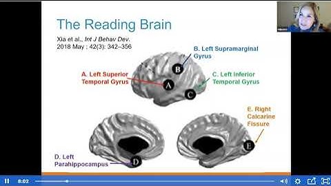 2020 Dyslexia update New Science and Solutions