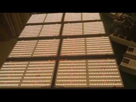 full spectrum 240watt 2in1 led growing light bar with samsung LM301b ...