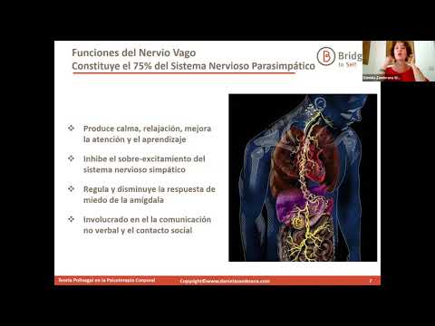 Vídeo: Teoria Polivagal Para Psicoterapia, Coaching E Autodesenvolvimento