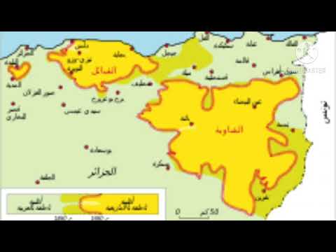 الفرق بين اللغة الامازيغية الشاوي القبائل 