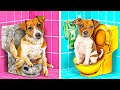 ¡Millonarios adoptaron a un perro pobre! 🐶 Cómo meter mascotas a escondidas por La La Vida Emojis