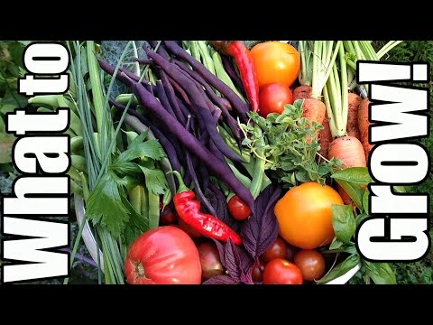 Video: How To Choose The Right Seeds And Decide On Planting Vegetables