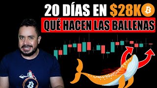 🟩BITCOIN: 12 ABRIL DICTA la DIRECCION en PRECIO 2023