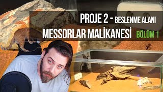 Karincalara Koskocaman Bi̇r Dünya - Bölüm 1