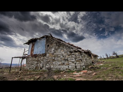 Video: N.Z. Zhurma E Muzeve Për Delet E Famshme