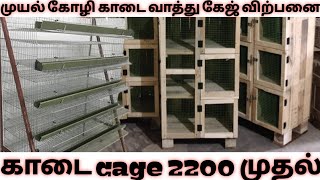 RABBIT, PIGEON,AFRICAN LOVE BIRDS, COCKTAIL CONURE ,HEN All type of cage available for sale.