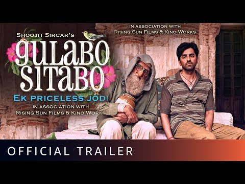 Gulabo Sitabo artwork