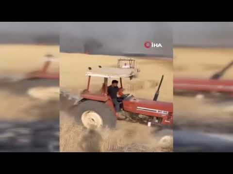 Buğday tarlası küle döndü: O anlar cep telefonu kamerasına yansıdı