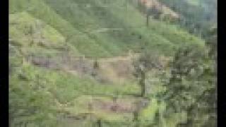 Tea plantations,waterfalls & scenic hill country of sri lanka