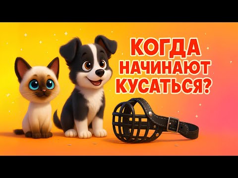 🎬 Когда начинают кусаться? | Мультик про котёнка Гав и щенка 🐱🐶
