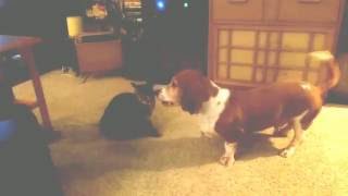 Oliver T Puddington and Old Man Chickenbone Wrassling @DerekDahlsad