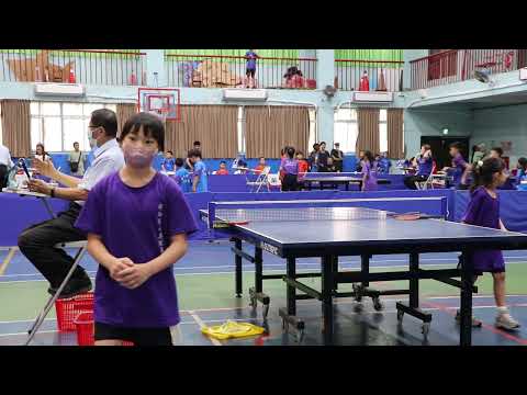 2025.11.4嘉義縣114年中小運桌球賽 pic