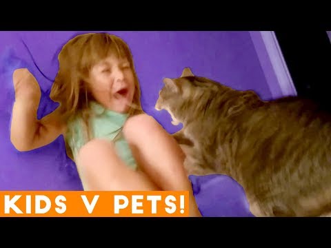 Ultimate Cute Pets vs. Epic Kids Fails Compilation | Funny Pet Videos February 2018