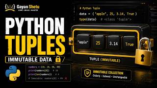 What I Wish I Knew About Python Tuples Before My Last Interview