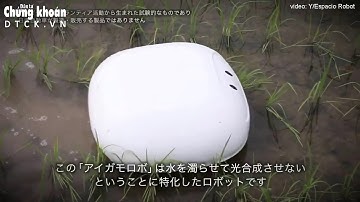 Robot “vịt” giúp nông dân Nhật diệt cỏ mà không cần dùng tới hóa chất
